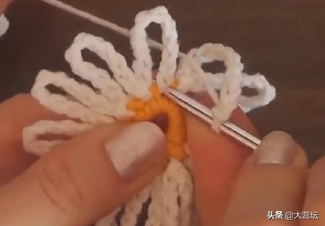 花边毛毯的钩编视频教程,凤凰毛毯的钩编花样教程