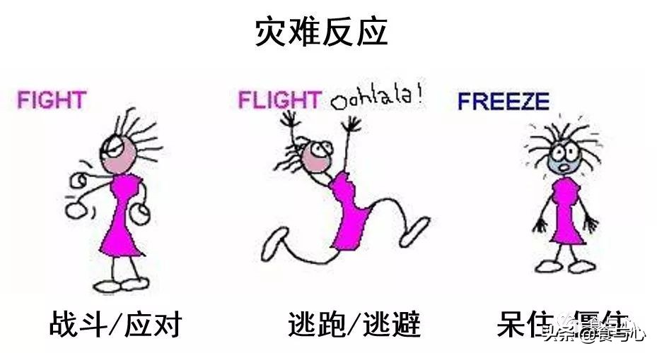 肠漏综合征的五大危害,肠瘘是一切病的根源