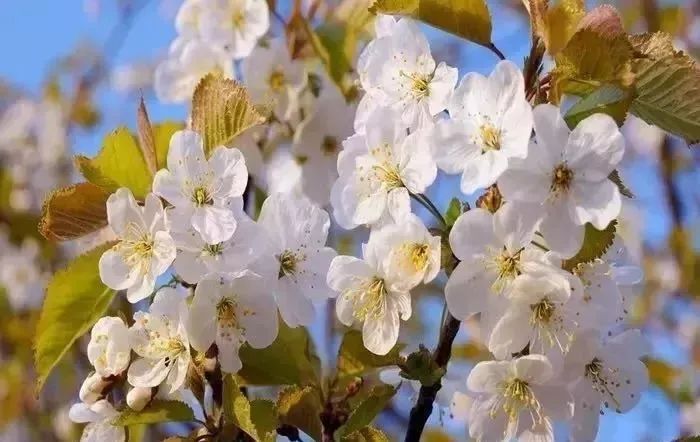 娆洪湝璧涢洩,娆洪洩璧涢湝