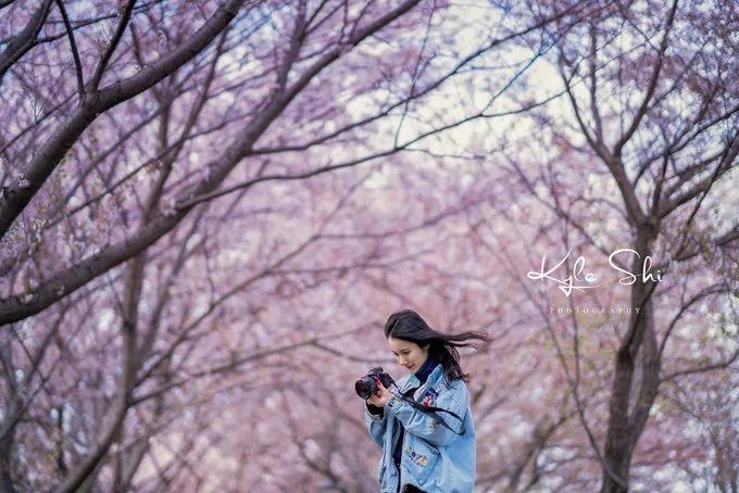 樱花季去京都怎么避免人太多,樱花季去日本旅行
