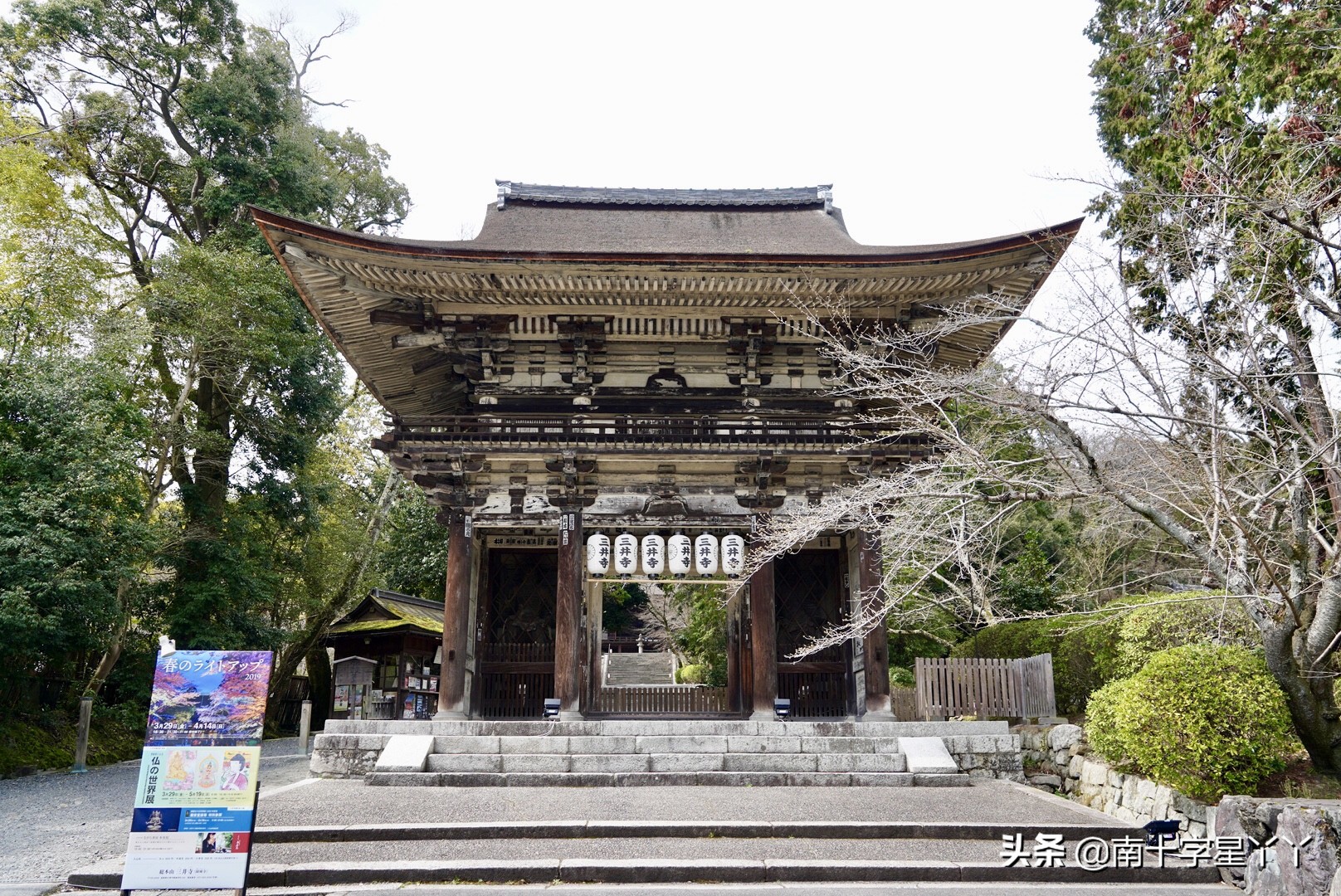 2019日本赏樱最新攻略|大津小众路线私家推荐