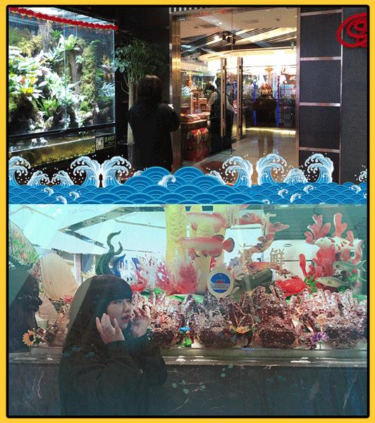 天津自助海鲜有哪些,天津加勒比海鲜自助多少钱一位