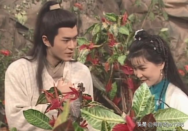 95版神雕侠侣有多火爆,95版神雕侠侣你最喜欢哪一位