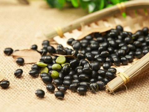 买黑豆,买黑豆选哪一种比较好