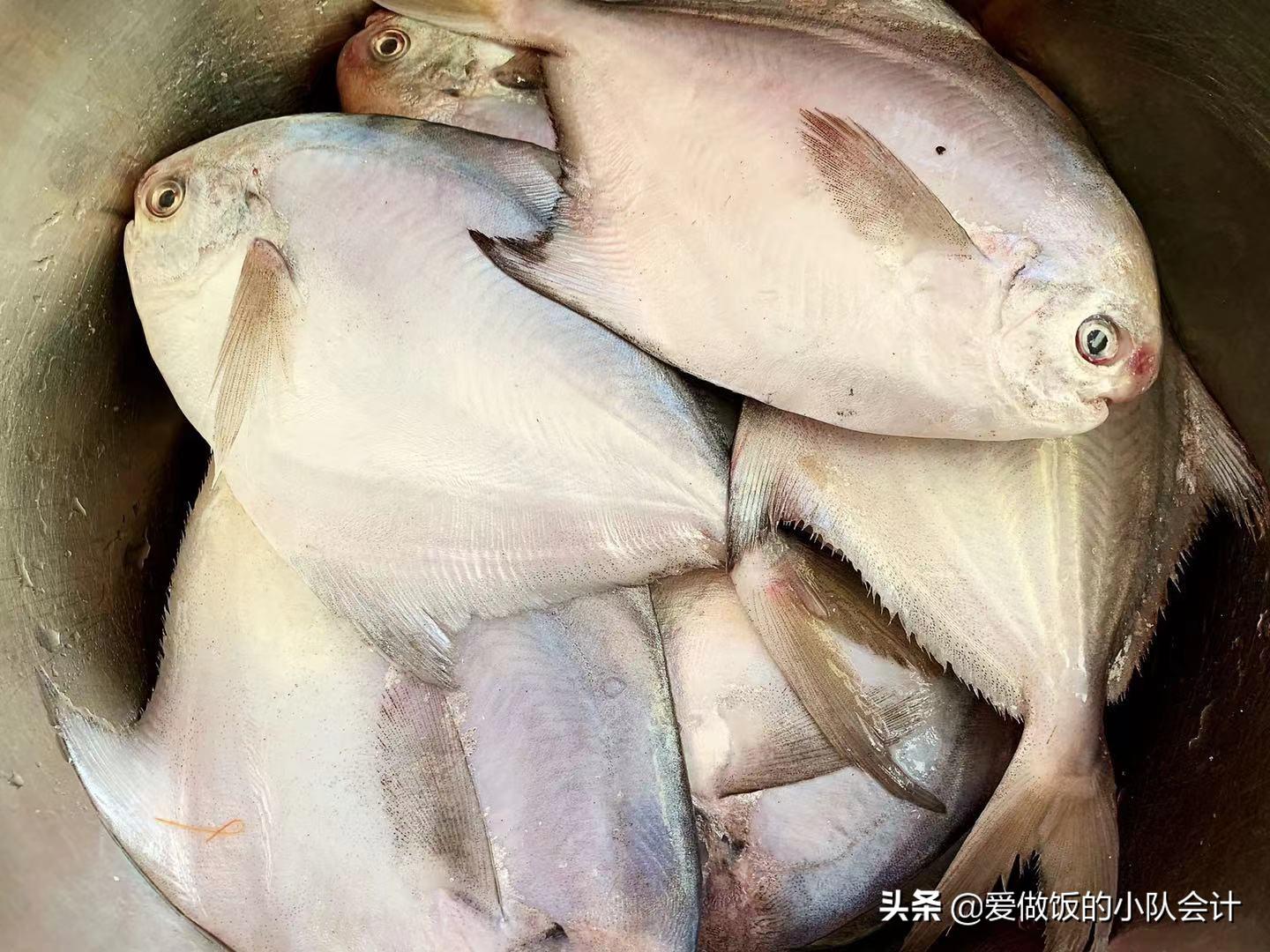 鲳鱼表面的粘液是怎么洗,鲳鱼怎么做好吃又简单还没腥味