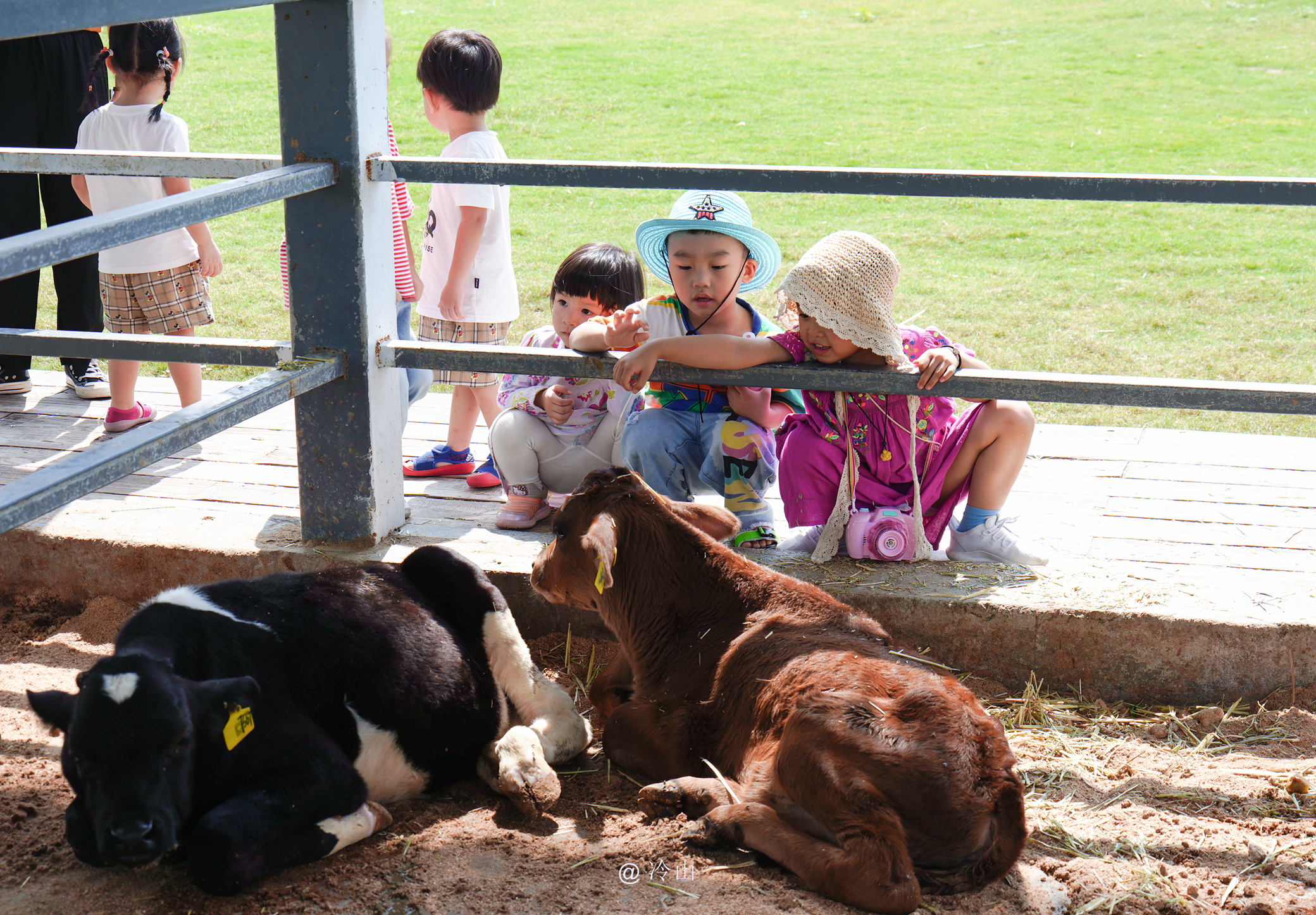田园牧歌，温州的这座草原像童话