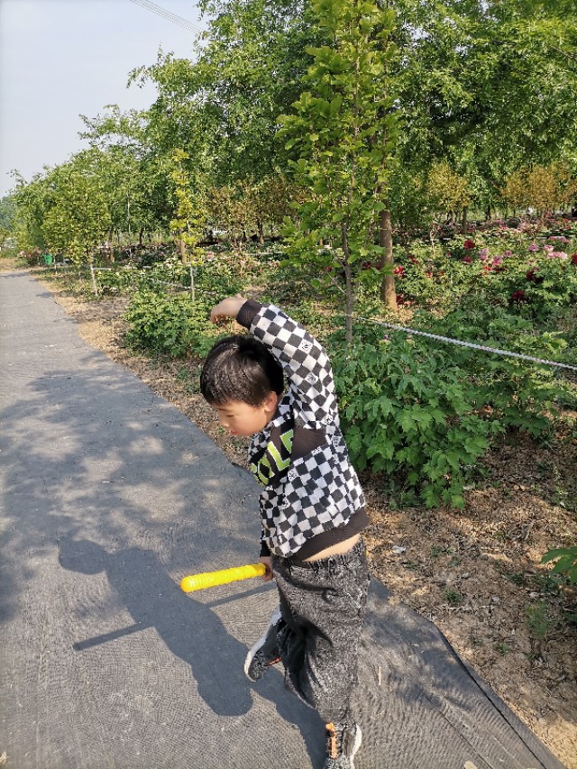 古县牡丹园游记作文,牡丹园游记