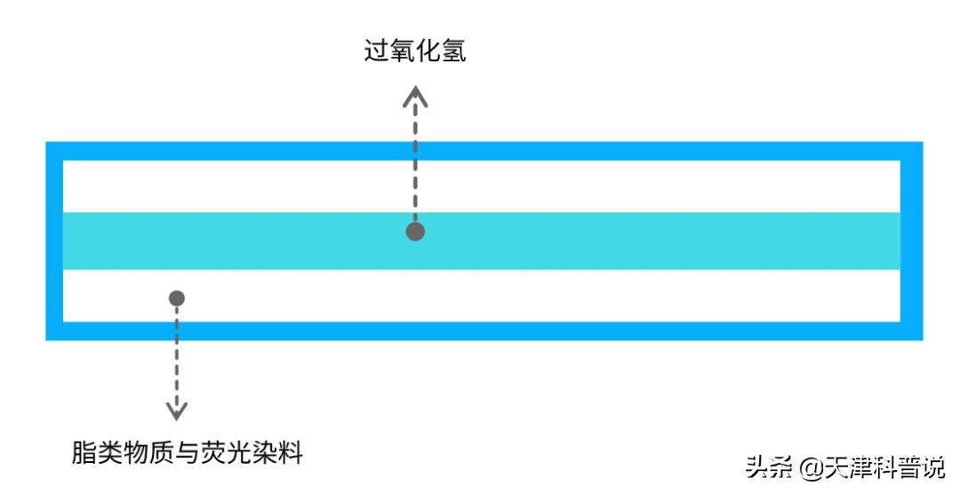 荧光棒为什么会变光,荧光棒为什么弯折后会发光