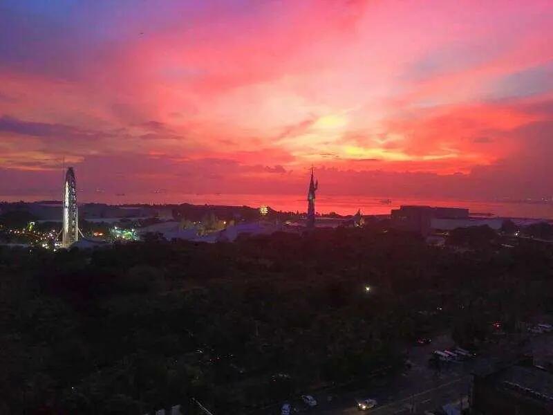 单身狗吃饭旅游走走停停 (单身狗吃饭旅行走走停停)