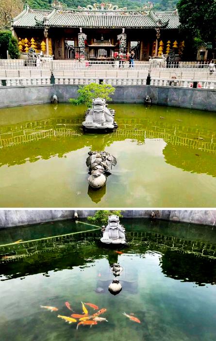 欧亚瑟过滤设计,欧亚瑟造景鱼缸