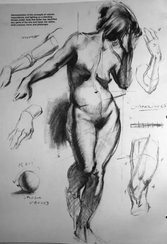 素描画得最好的画家,画家画的各种素描与画像太像了