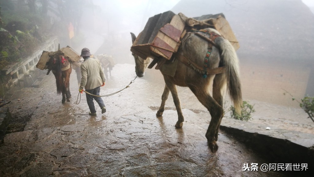 云南普者黑元阳坝美6天旅游攻略,云南建水普者黑旅游路线