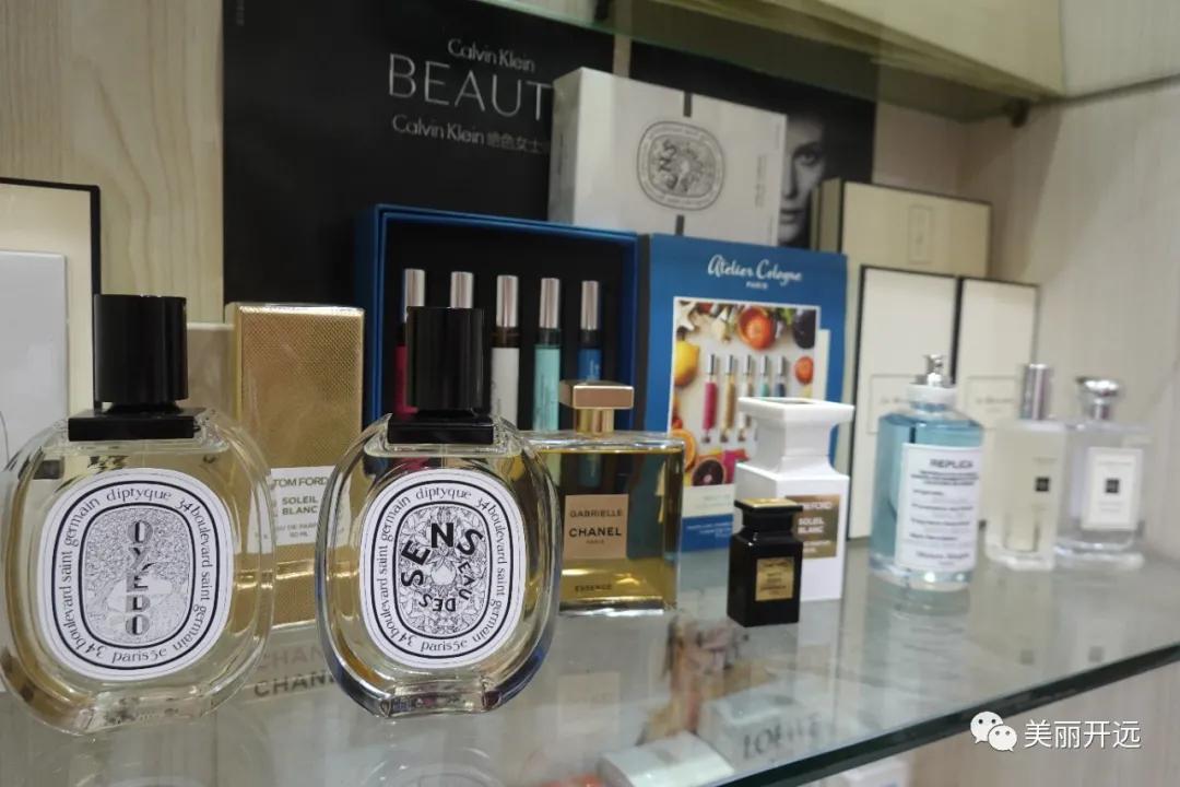 开远·人生百味|小猫的“猫咪森林”