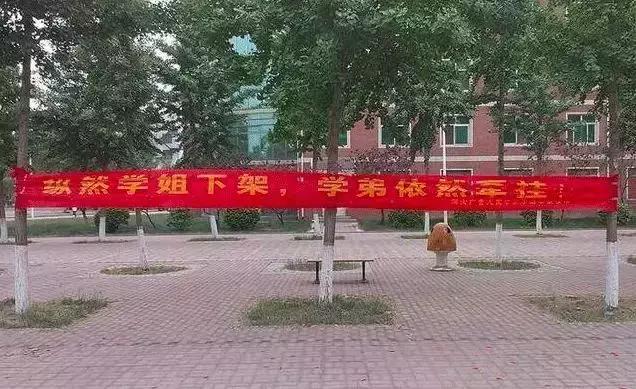 毕业季校园里这些横幅看哭了,学校毕业横幅