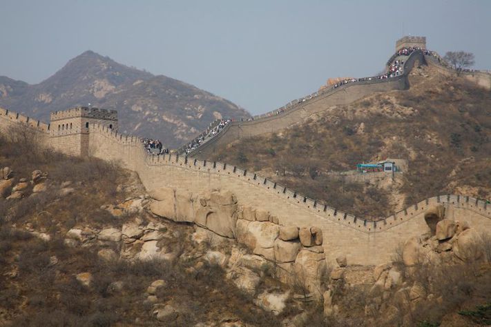 揭秘人类进化史全集,人类简史进化全过程