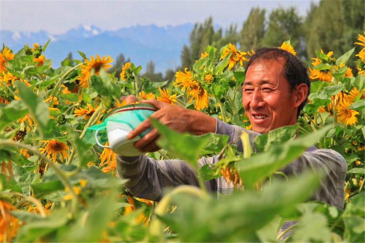 好药难医冤孽病,好药难治冤孽病上一句