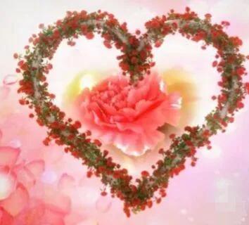 朋友认识你真好经典语录,朋友认识你真好诗歌朗诵