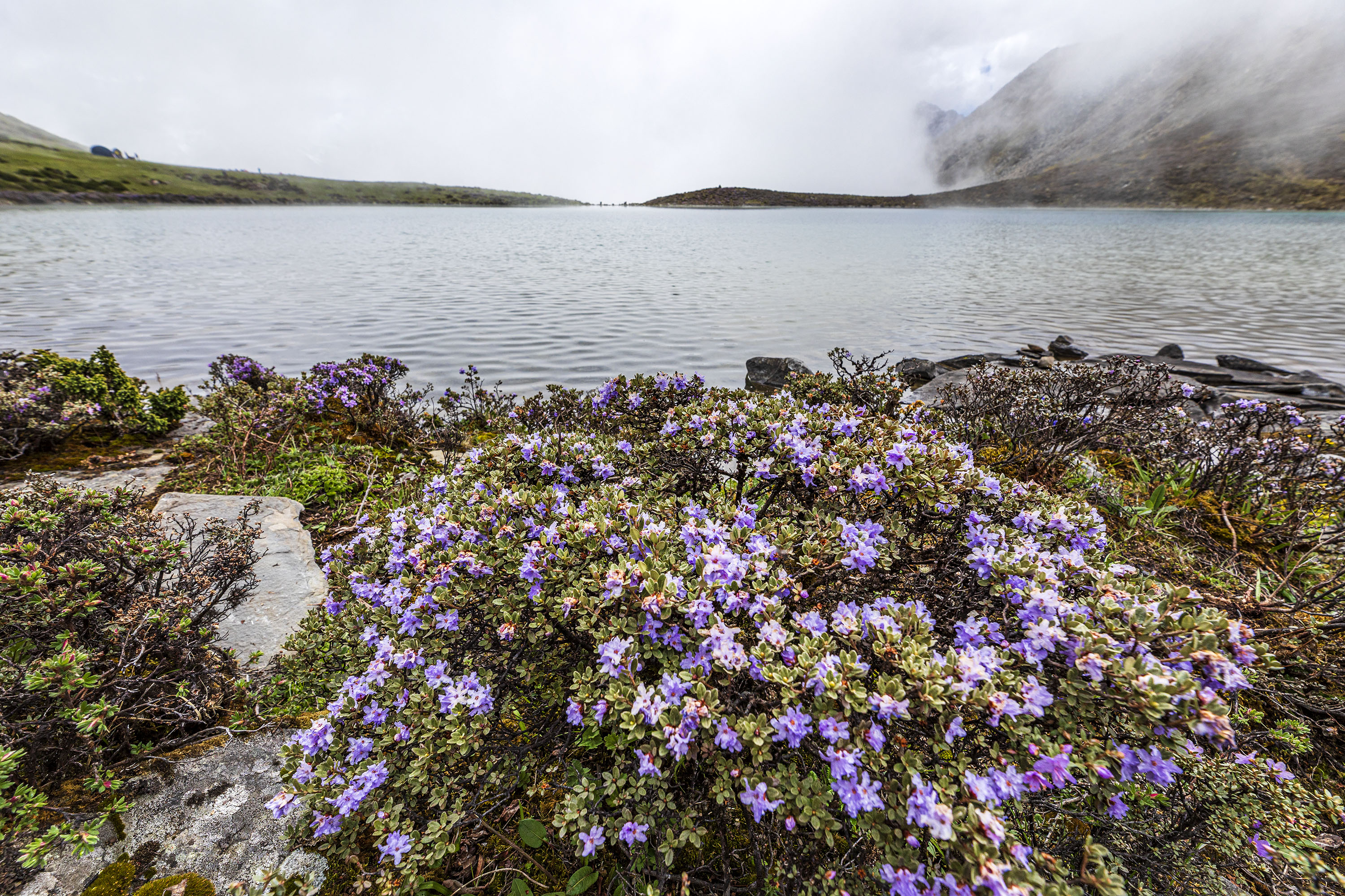 贡嘎雪山自由旅拍,里索海贡嘎雪山全景