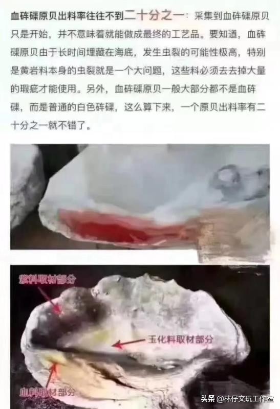 黄砗磲与白色玉化砗磲哪个硬度高,砗磲保养记住三点保证光亮如新