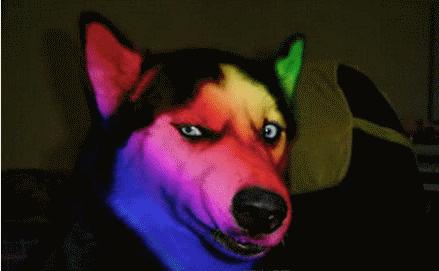 股市实战训练营,股票训练营38个进阶知识