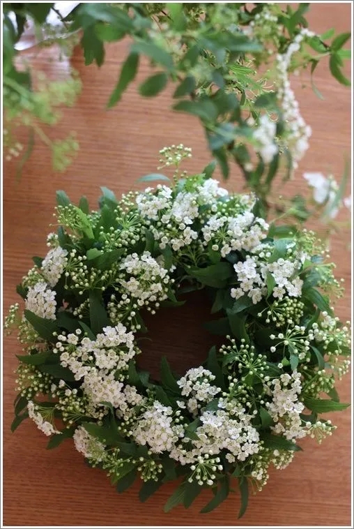 植库‖浪漫清新的小手球，为你带来氧气小森林