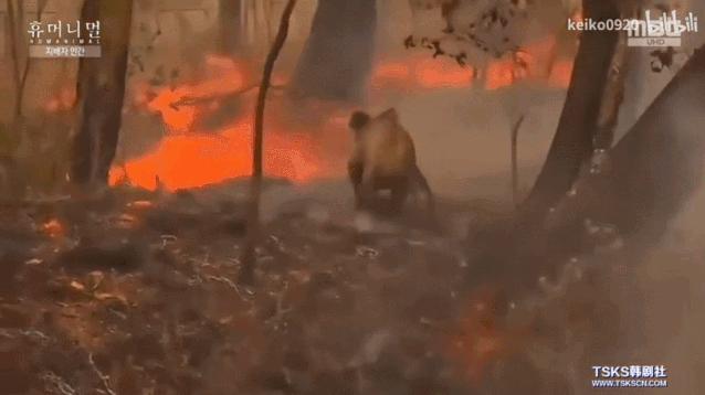 被已婚男欺骗致怀孕一尸两命,女孩儿被骗怀孕最后被杀害