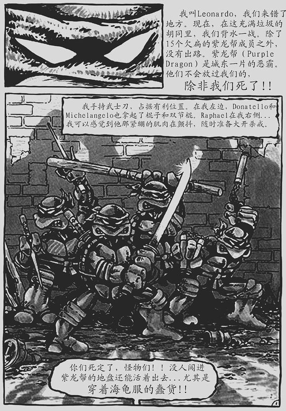 永远的忍者神龟2009年,永远的忍者神龟中文版全集