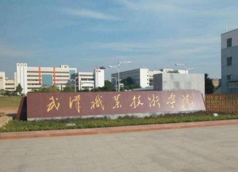 华为偏爱哪些大学,华为最偏爱的专科院校