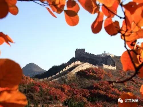 北京国家森林公园风景,画说北京故事