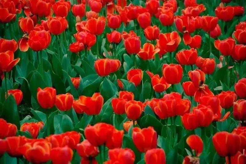 狂飙18级,狂飙18集公路飙车片段在哪