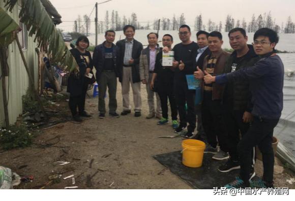 中草药制剂HCV弧菌病能防治、修复肝胰腺，广东省农业力推技术