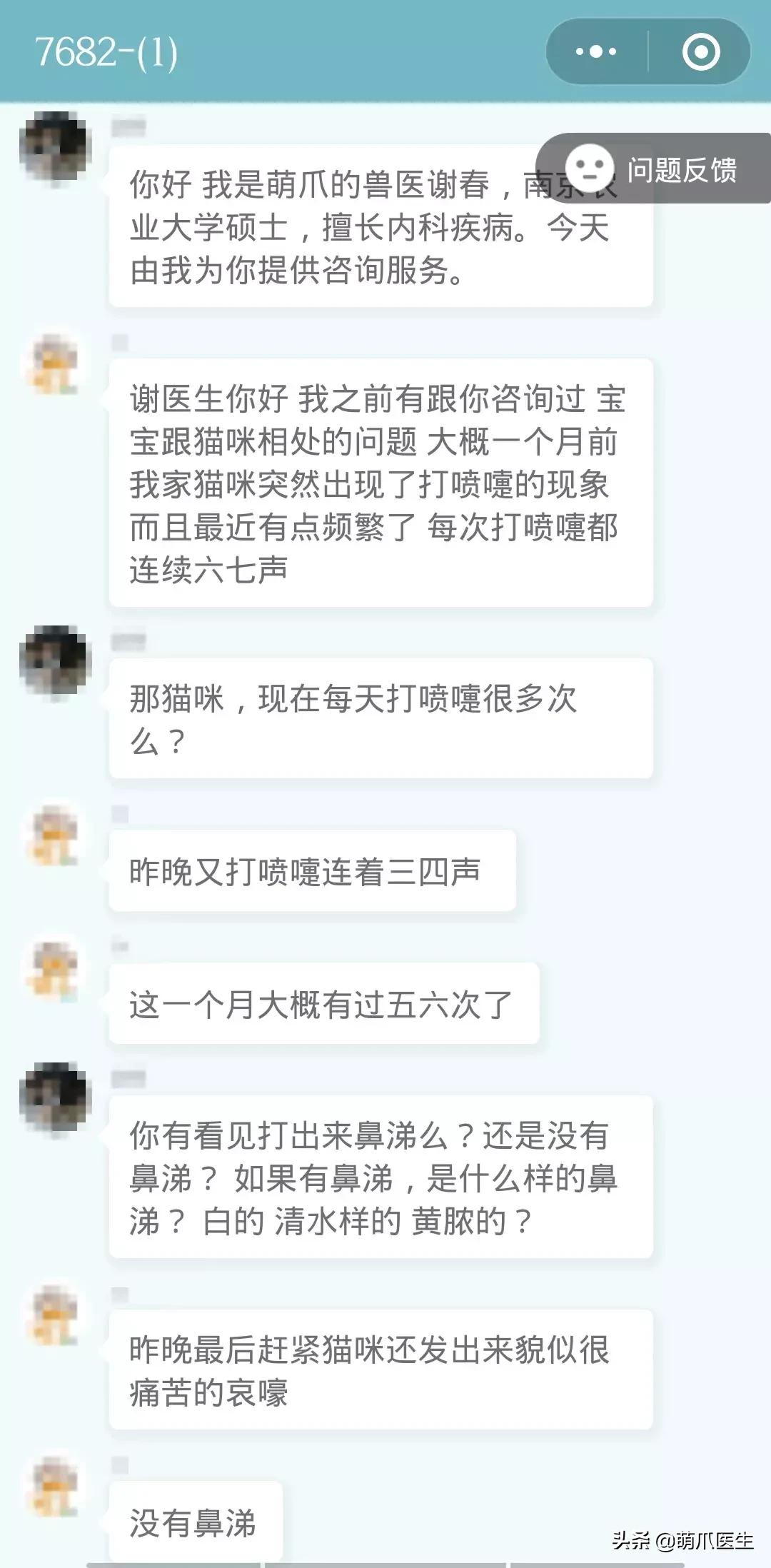 足不出户就能在线治猫病,24小时猫病在线咨询