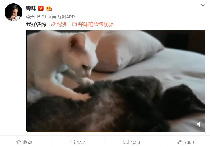 盘点谢霆锋王菲复合过程,谢霆锋王菲恋情的坎坷岁月回顾