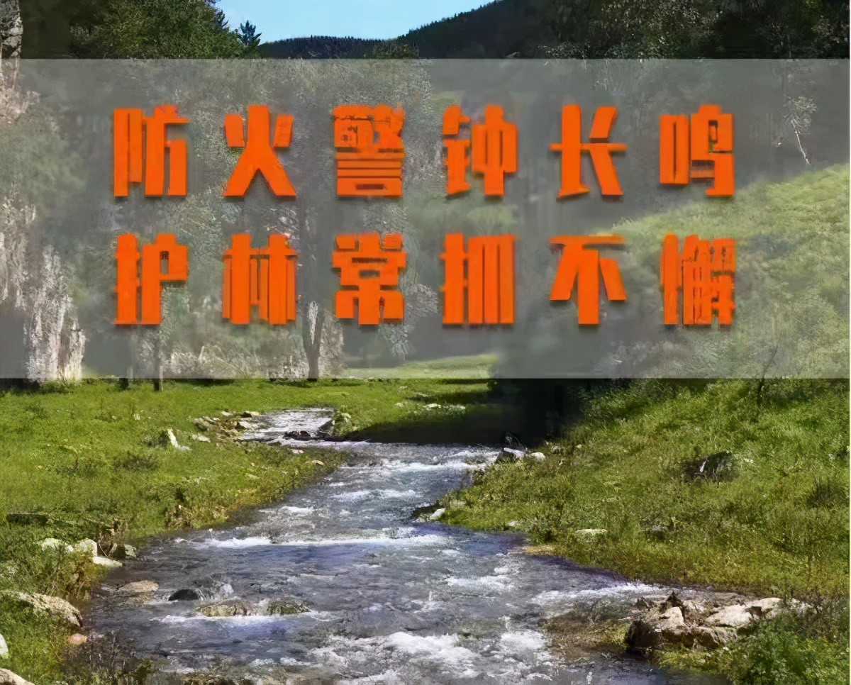 森林防火牢记几个要点,森林防火防范燃火