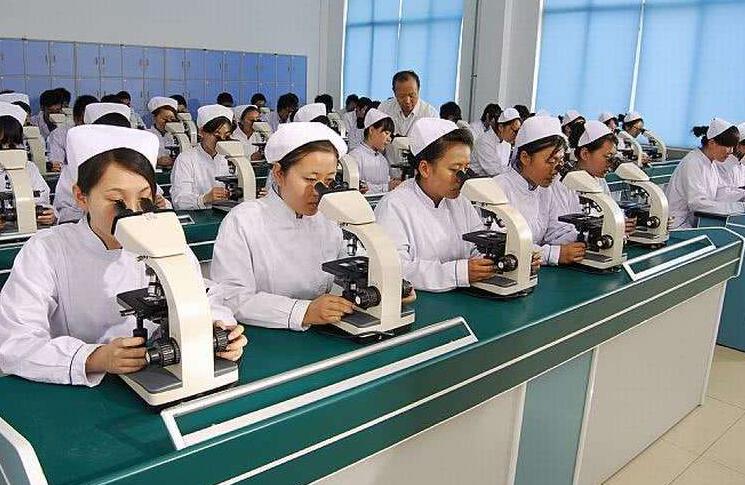 国内十大中医药大学,国内综合排名较好的中医药大学