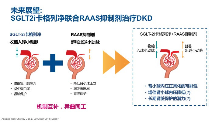 肾病患者的福音：SGLT2*制剂抑**，慢性肾脏病治疗的“新*器武**”