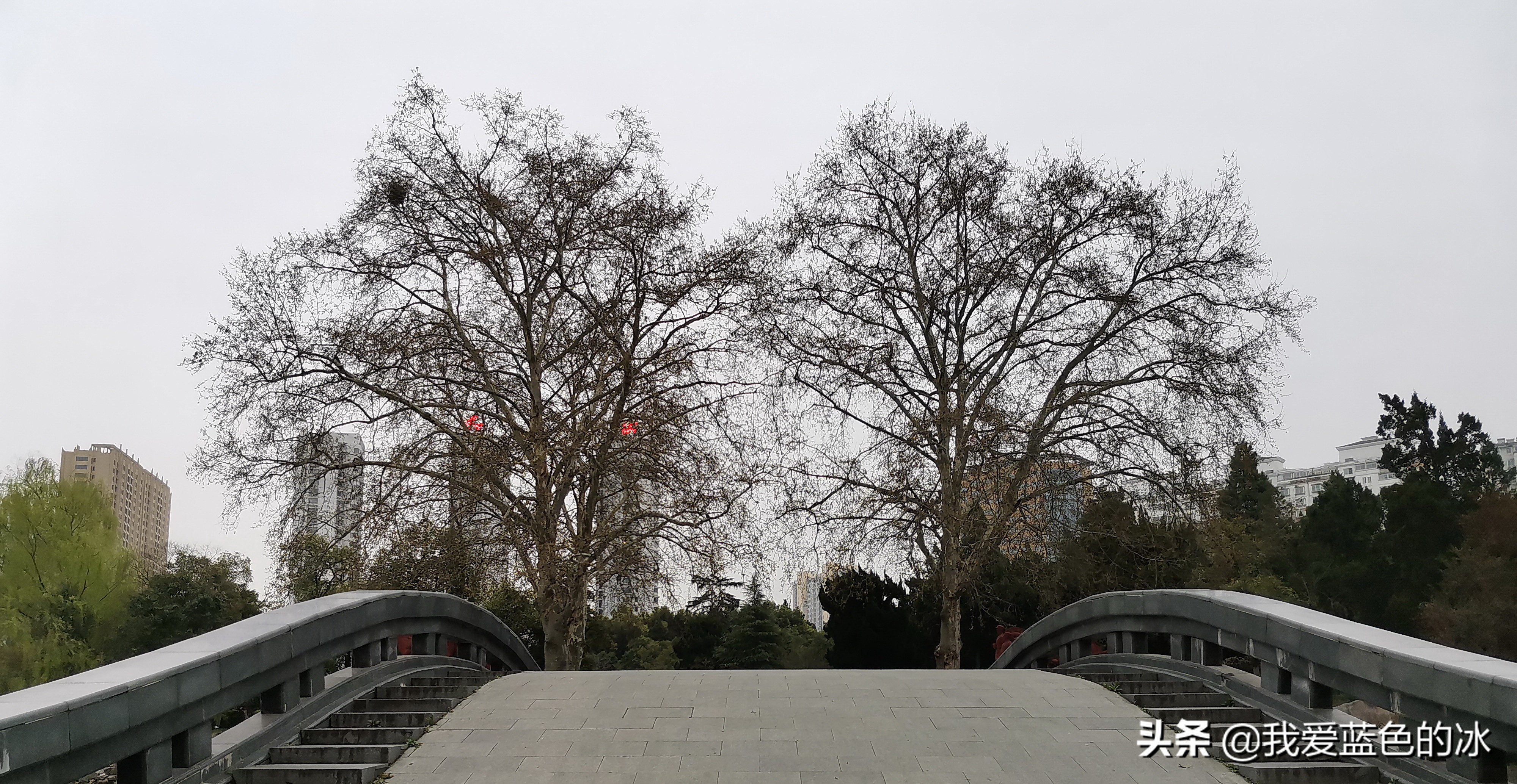 六安月亮岛分岛,六安的月亮岛旁边的小岛