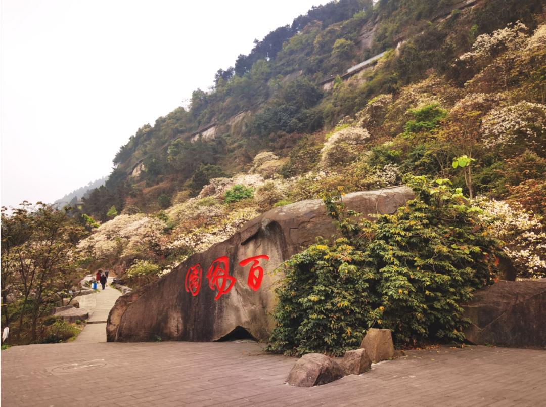 重庆北碚清明节踏青好去处,重庆巴南踏青一日游最佳攻略