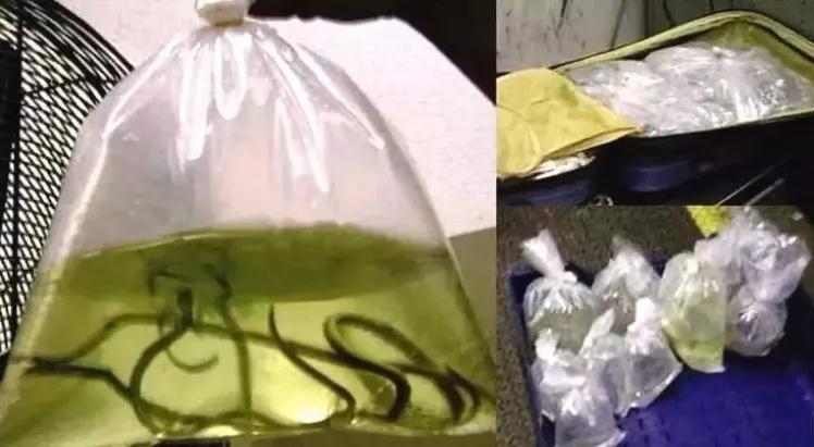 留学生海关安检被拒，CL的萝卜丁口红竟成凶器！