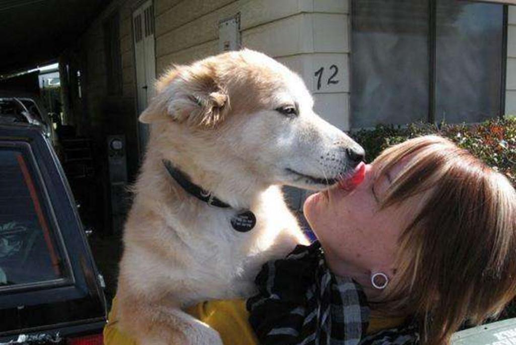 为什么狗狗喜欢舔主人的手,狗狗喜欢舔地板是什么原因