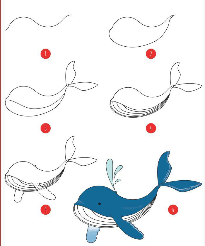 可爱的动物怎么画卡通简单又漂亮,画简单可爱的卡通动物教程