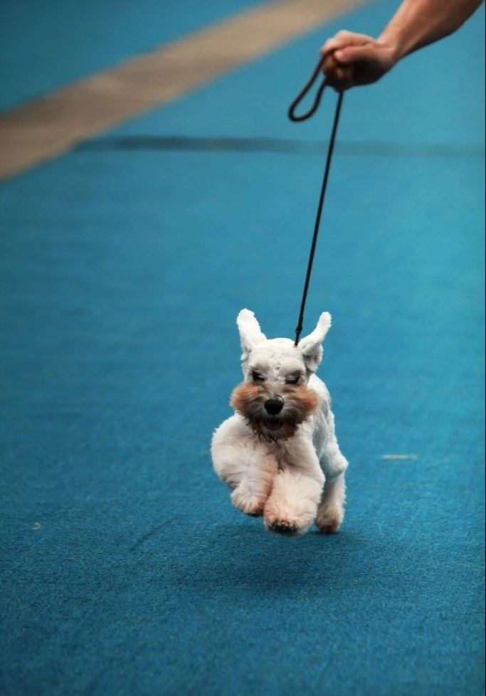 21号线街舞争霸赛,2023街舞总决赛在哪个频道直播