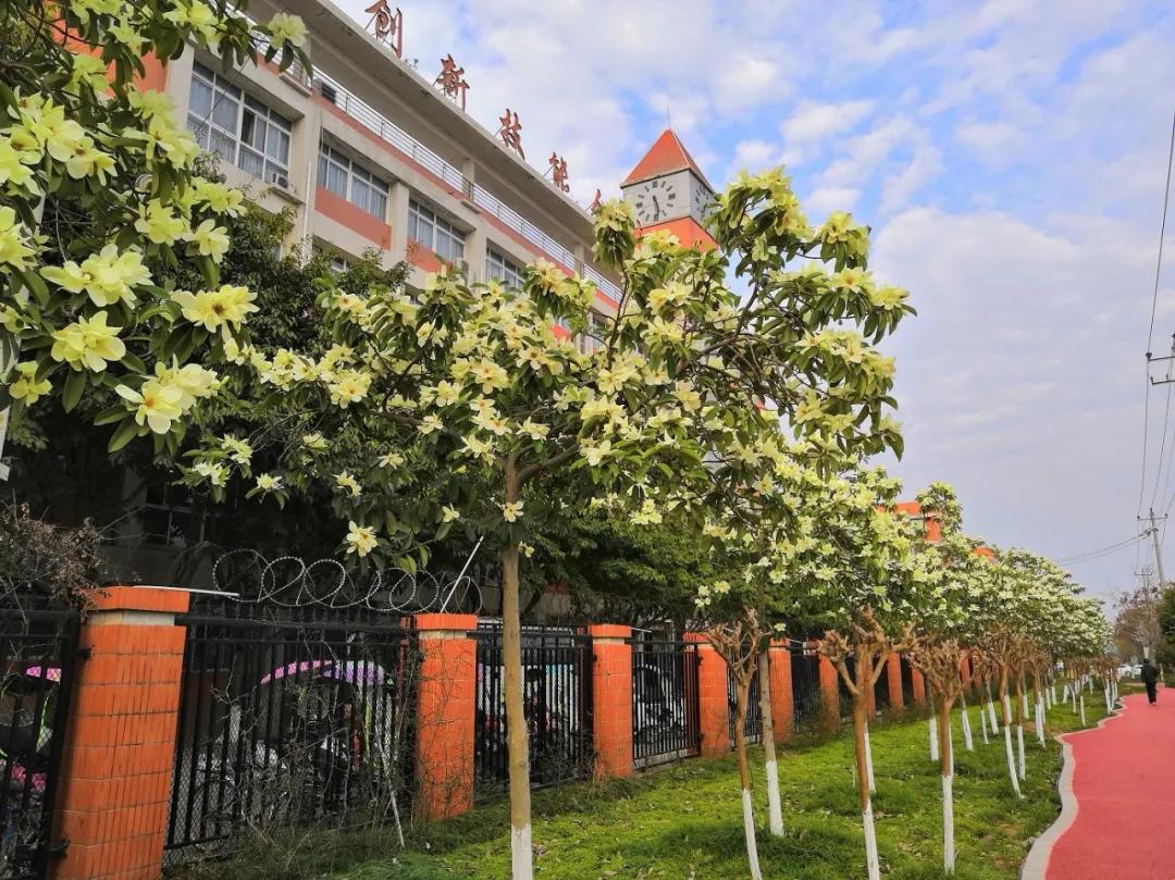 我把德阳市的校园春天寄给你