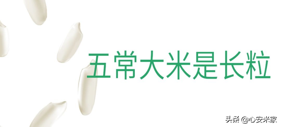 鉴别五常大米标准,鉴别五常大米