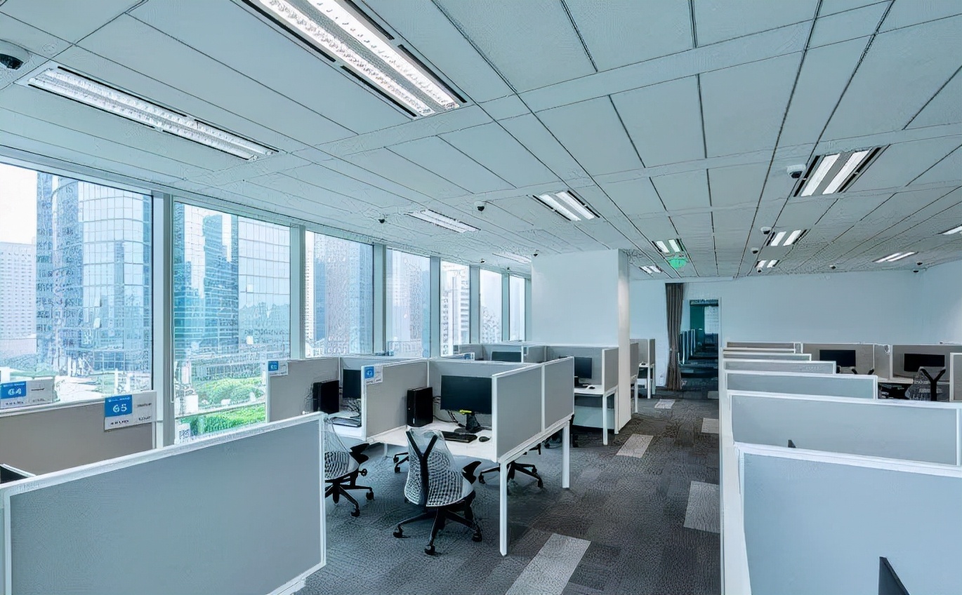 羊驼雅思报考,羊驼雅思网课