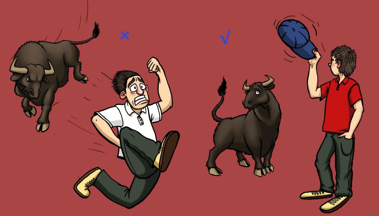 野外遇到大型动物如何自救,如果在野外遇到危险动物该怎么办