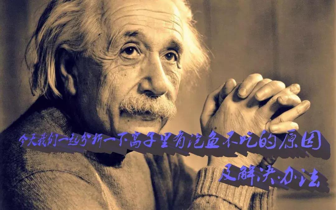 案例分析：窝子冒泡，漂却不动