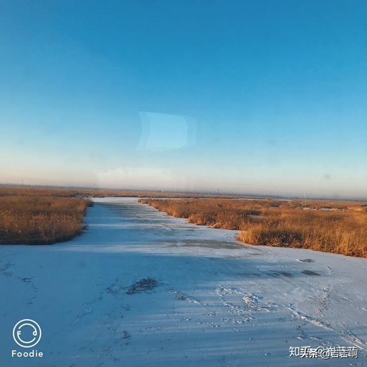 在东北吃饭是一种什么体验,跟东北人吃饭是什么体验