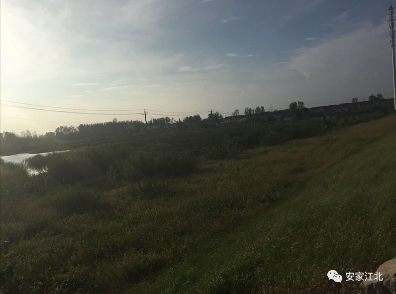 金陵中学江北分校东校区9月启用,金陵中学江北分校与浦厂中学