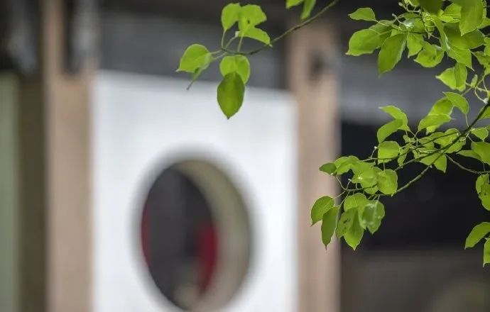 七月份的无锡,七八月份无锡旅游推荐